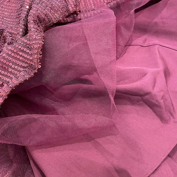 Sequined Clara Dress - Picture 6 of 6